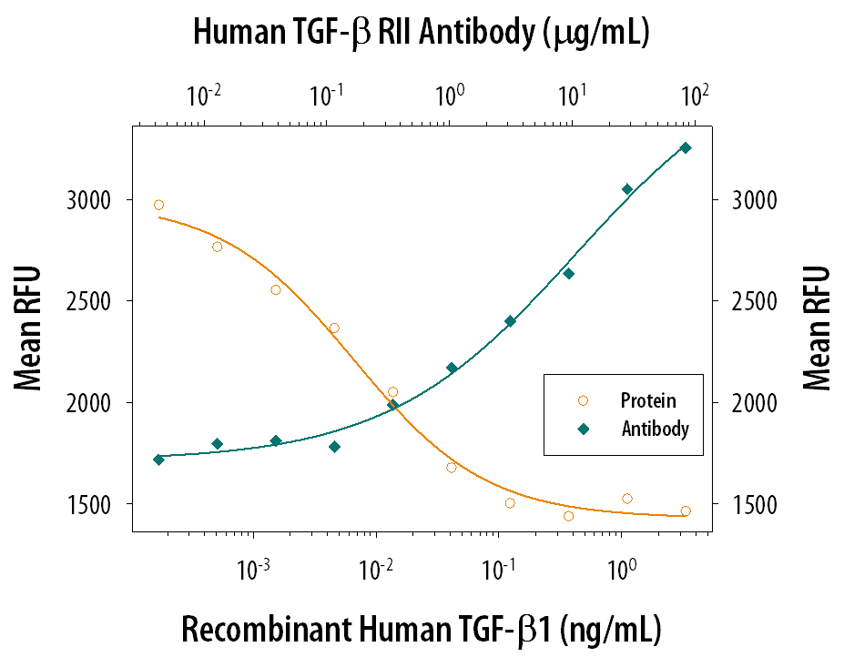 Neutralization TGF-beta RII Antibody [Unconjugated]
