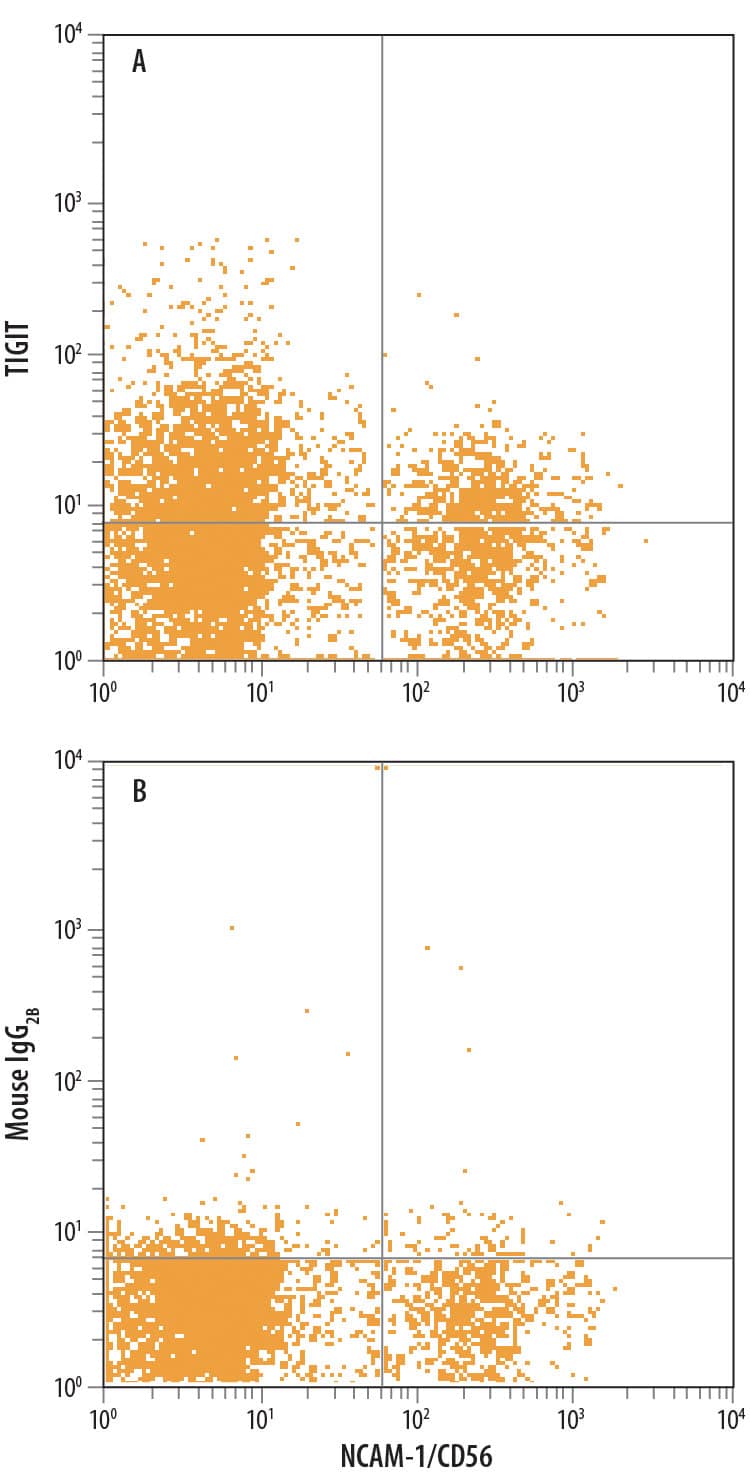 Human peripheral blood lymphocytes were stained with Mouse Anti-Human TIGIT Monoclonal Antibody (Catalog # MAB7898) followed by Allophycocyanin-conjugated Anti-Mouse IgG Secondary Antibody (Catalog # F0101B) and Mouse Anti-Human NCAM-1/CD56 PE-conjugated Monoclonal Antibody (Catalog # FAB2408P). Quadrant markers were set based on control antibody staining (Catalog # MAB0041).
