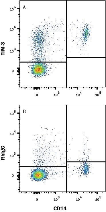 Human PBMC were stained with (A) Rabbit Anti-Human Tim-3 Monoclonal Antibody (Catalog # MAB23652) or (B) Normal Rabbit IgG Control Antibody (Catalog # MAB1050) followed by PE-conjugated Goat anti-Rabbit IgG Secondary Antibody (Catalog # F0110) and Mouse anti-Human CD14 APC-conjugated Monoclonal Antibody (Catalog # FAB3832A). View our protocol for Staining Membrane-associated Proteins.