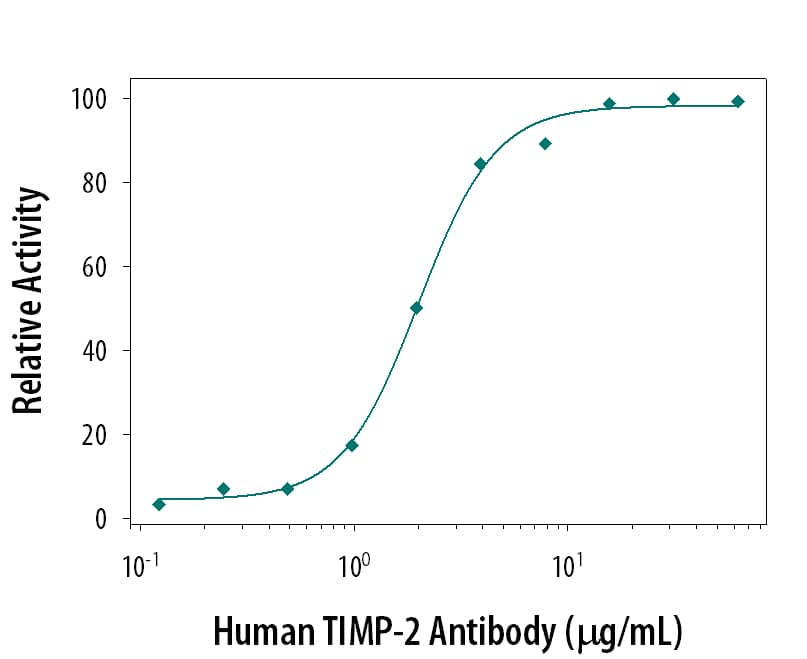 Neutralization TIMP-2 Antibody [Unconjugated]
