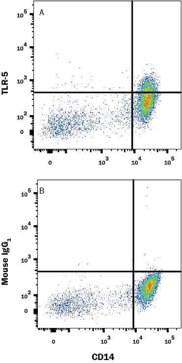 Human Human Peripheral Blood Monocytes were stained with (A) Mouse Anti-Human TLR5 Monoclonal Antibody (Catalog # MAB6704) or (B) isotype control antibody (Catalog # MAB002), followed by Allophycocyanin-conjugated Anti-Mouse IgG Secondary Antibody (Catalog # F0101B) and Mouse anti-Human CD14 PE-conjugated Monoclonal Antibody (Catalog # FAB3832P). View our protocol for Staining Membrane-associated Proteins.