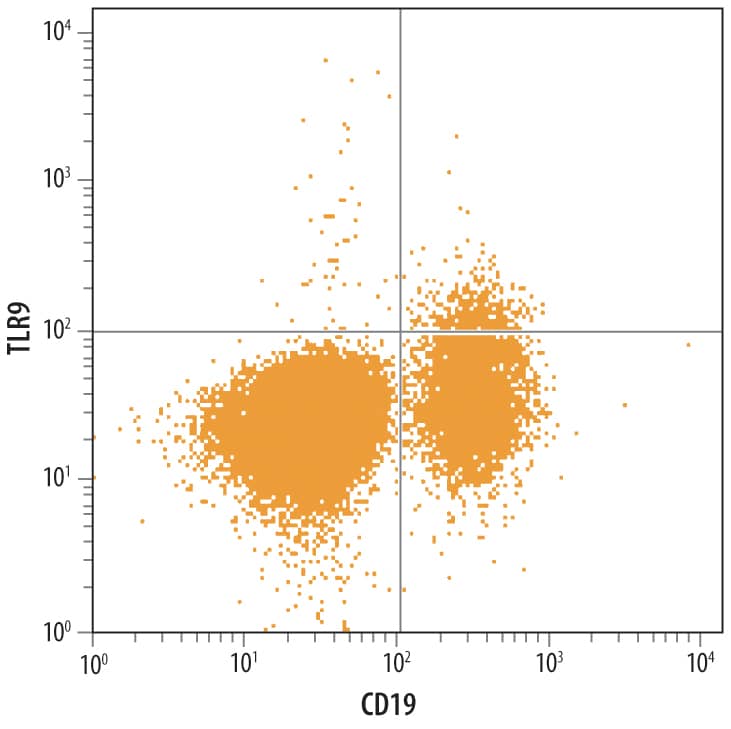 Human PBMC lymphocytes were stained with Sheep Anti-Human TLR9 Antigen Affinity-purified Polyclonal Antibody (Catalog # AF3658) followed by NorthernLights™ 637-conjugated Anti-Sheep IgG Secondary Antibody (Catalog # NL011) and Mouse Anti-Human CD19 PE-conjugated Monoclonal Antibody (Catalog # FAB4867P). Quadrant markers were set based on control antibody staining (Catalog # 5-001-A).
