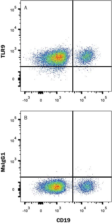 Human peripheral blood mononuclear cells (PBMCs) were stained with Mouse anti-Human CD19 PE-conjugated Monoclonal Antibody (Catalog # FAB4867P) and (A) Mouse Anti-Human/Mouse TLR9 Monoclonal Antibody (Catalog # MAB36582) or (B) Mouse IgG1 control antibody (Catalog # MAB002) followed by APC-conjugated Anti-Mouse IgG Secondary Antibody (Catalog # F0101B). To facilitate intracellular staining, cells were fixed and permeabilized with FlowX FoxP3 Fixation & Permeabilization Buffer Kit (Catalog # FC012). View our protocol for Staining Intracellular Molecules.