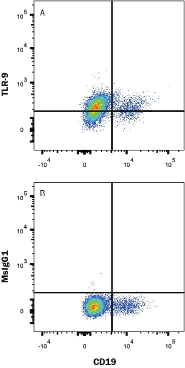 Human peripheral blood mononuclear cells (PBMCs) were stained with Mouse anti-Human CD19 PE-conjugated Monoclonal Antibody (Catalog # FAB4867P) and (A) Mouse Anti-Human TLR9 Monoclonal Antibody (Catalog # MAB36583) or (B) Mouse IgG1 control antibody (Catalog # MAB002) followed by APC-conjugated Anti-Mouse IgG Secondary Antibody (Catalog # F0101B). To facilitate intracellular staining, cells were fixed and permeabilized with FlowX FoxP3 Fixation & Permeabilization Buffer Kit (Catalog # FC012). View our protocol for Staining Intracellular Molecules.