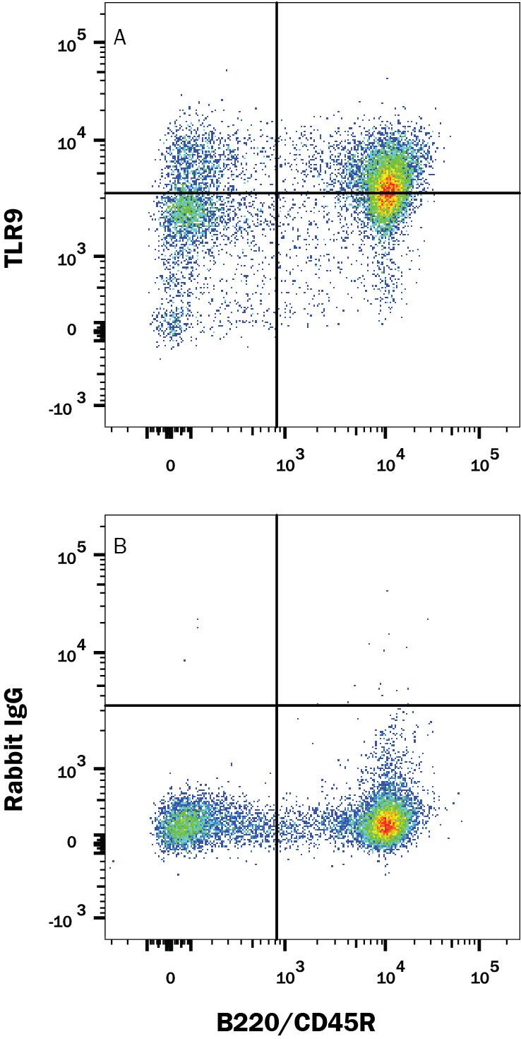 Mouse splenocytes were stained with Rat Anti-Mouse B220/CD45R APC-conjugated Monoclonal Antibody (Catalog # FAB1217A) and either (A) Rabbit Anti-Mouse TLR9 Monoclonal Antibody (Catalog # MAB7960) or (B) Normal Rabbit IgG Control (Catalog # AB-105-C) followed by Phycoerythrin-conjugated Anti-Rabbit IgG Secondary Antibody (Catalog # F0110). To facilitate intracellular staining, cells were fixed and permeabilized with FlowX FoxP3 Fixation & Permeabilization Buffer Kit (Catalog # FC012). View our protocol for Staining Intracellular Molecules.