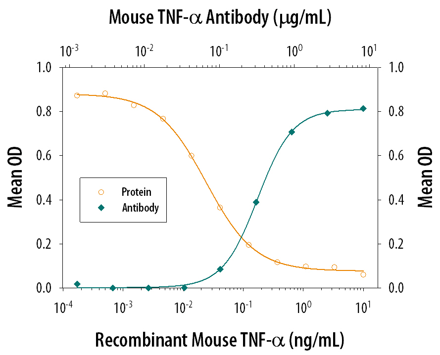 Recombinant Mouse TNF‑a (Catalog # 410-MT) induces cytotoxicity in the the L‑929 mouse fibroblast cell line in a dose-dependent manner (orange line), as measured by crystal violet staining. Cytotoxicity elicited by Recombinant Mouse TNF‑a (0.25 ng/mL) is neutralized (green line) by increasing concentrations of Mouse TNF‑a Polyclonal Antibody (Catalog # AB-410-NA). The ND50 is typically 0.2-0.6 µg/mL in the presence of the metabolic inhibitor actinomycin D (1 µg/mL).