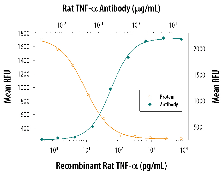 Recombinant Rat TNF-a (Catalog # 510-RT) induces cytotoxicity in the the L-929 mouse fibroblast cell line in a dose-dependent manner (orange line), as measured by Resazurin. Cytotoxicity elicited by Recombinant Rat TNF-a (0.25 ng/mL) is neutralized (green line) by increasing concentrations of Goat Anti-Rat TNF-a Antigen Affinity-purified Polyclonal Antibody (Catalog # AF-510-NA). The ND50 is typically 0.15-0.75 µg/mL in the presence of the metabolic inhibitor actinomycin D (1 µg/mL).
