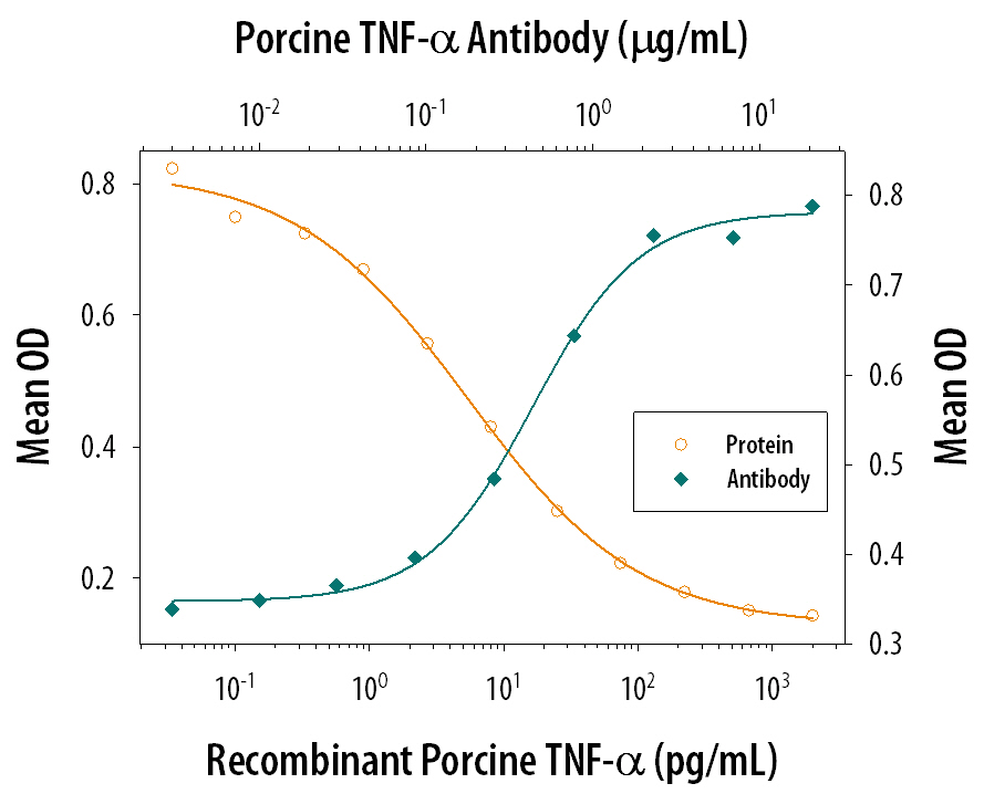 Recombinant Porcine TNF-a (Catalog # 690-PT) induces cytotoxicity in the the PK-15 porcine kidney epithelial cell line in a dose-dependent manner (orange line), as measured by crystal violet staining. Cytotoxicity elicited by Recombinant Porcine TNF-a (0.05 ng/mL) is neutralized (green line) by increasing concentrations of Goat Anti-Porcine TNF-a Antigen Affinity-purified Polyclonal Antibody (Catalog # AF690). The ND50 is typically 0.2-0.8 µg/mL in the presence of the metabolic inhibitor actinomycin D (1 µg/mL).