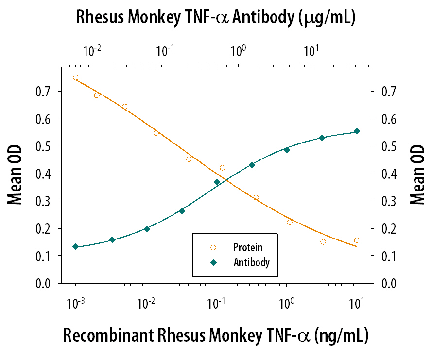 Recombinant Rhesus Macaque TNF-a (Catalog # 1070-RM) induces cytotoxicity in the the L-929 mouse fibroblast cell line in a dose-dependent manner (orange line), as measured by crystal violet staining. Cytotoxicity elicited by Recombinant Rhesus Macaque TNF-a (1 ng/mL) is neutralized (green line) by increasing concentrations of Rat Anti-Rhesus Macaque TNF-a Monoclonal Antibody (Catalog # MAB10701). The ND50 is typically 0.2-0.8 µg/mL in the presence of the metabolic inhibitor actinomycin D (1 µg/mL).