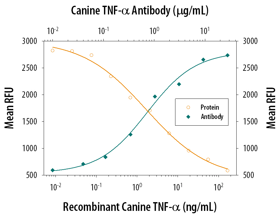 Recombinant Canine TNF-a (Catalog # 1507-CT) induces cytotoxicity in the the L-929 mouse fibroblast cell line in a dose-dependent manner (orange line). Cytotoxicity elicited by Recombinant Canine TNF-a (10 ng/mL) is neutralized (green line) by increasing concentrations of Mouse Anti-Canine TNF-a Monoclonal Antibody (Catalog # MAB1507). The ND50 is typically 1.25-5.0 µg/mL in the presence of the metabolic inhibitor actinomycin D (1 µg/mL).