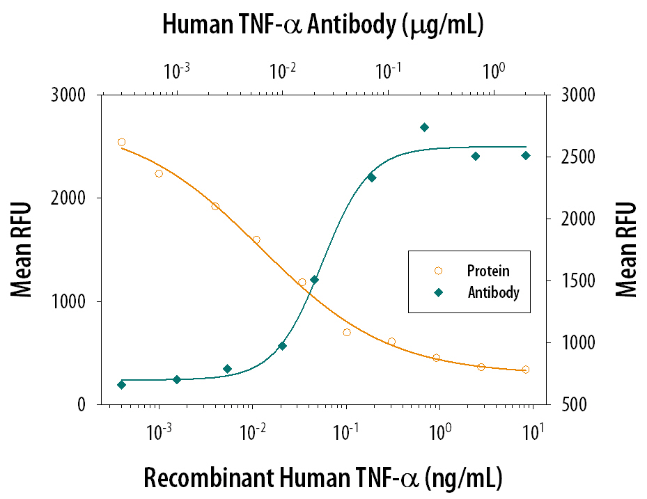Recombinant Human TNF-a (Catalog # 210-TA) induces cytotoxicity in the L-929 mouse fibroblast cell line in a dose-dependent manner (orange line). Cytotoxicity elicited by Recombinant Human TNF-a (0.25 ng/mL) is neutralized (green line) by increasing concentrations of Human TNF-a Monoclonal Antibody (Catalog # MAB2101). The ND50 is typically 0.015-0.06 µg/mL in the presence of the metabolic inhibitor actinomycin D (1 µg/mL).