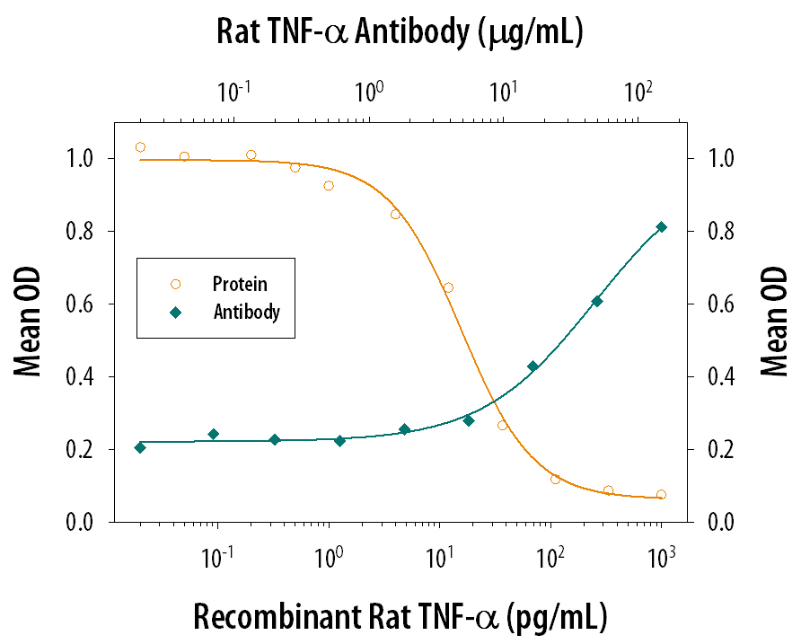 Recombinant Rat TNF‑a (Catalog # 510-RT) induces cytotoxicity in the the L‑929 mouse fibroblast cell line in a dose-dependent manner (orange line), as measured by crystal violet staining. Cytotoxicity elicited by Recombinant Rat TNF‑a (0.025 ng/mL) is neutralized (green line) by increasing concentrations of Rat TNF‑a Monoclonal Antibody (Catalog # MAB510). The ND50 is typically 10-40 µg/mL in the presence of the metabolic inhibitor actinomycin D (1 µg/mL).