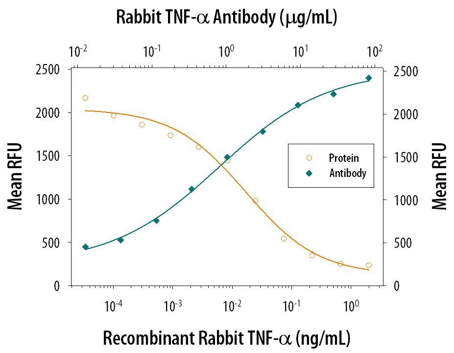 Recombinant Rabbit TNF-a (Catalog # 5670-TG) induces cytotoxicity in the the L-929 mouse fibroblast cell line in a dose-dependent manner (orange line), as measured by Resazurin. Cytotoxicity elicited by Recombinant Rabbit TNF-a (0.25 ng/mL) is neutralized (green line) by increasing concentrations of Mouse Anti-Rabbit TNF-a Monoclonal Antibody (Catalog # MAB5670). The ND50 is typically 0.4-2.4 µg/mL in the presence of the metabolic inhibitor actinomycin D (1 µg/mL).