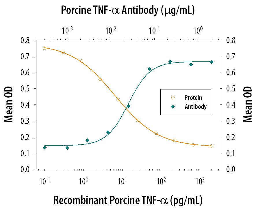 Recombinant Porcine TNF-a (Catalog # 690-PT) induces cytotoxicity in the the PK-15 porcine kidney epithelial cell line in a dose-dependent manner (orange line), as measured by crystal violet staining. Cytotoxicity elicited by Recombinant Porcine TNF-a (0.05 ng/mL) is neutralized (green line) by increasing concentrations of Mouse Anti-Porcine TNF-a Monoclonal Antibody (Catalog # MAB6901). The ND50 is typically 0.015-0.06 µg/mL in the presence of the metabolic inhibitor actinomycin D (1 µg/mL).