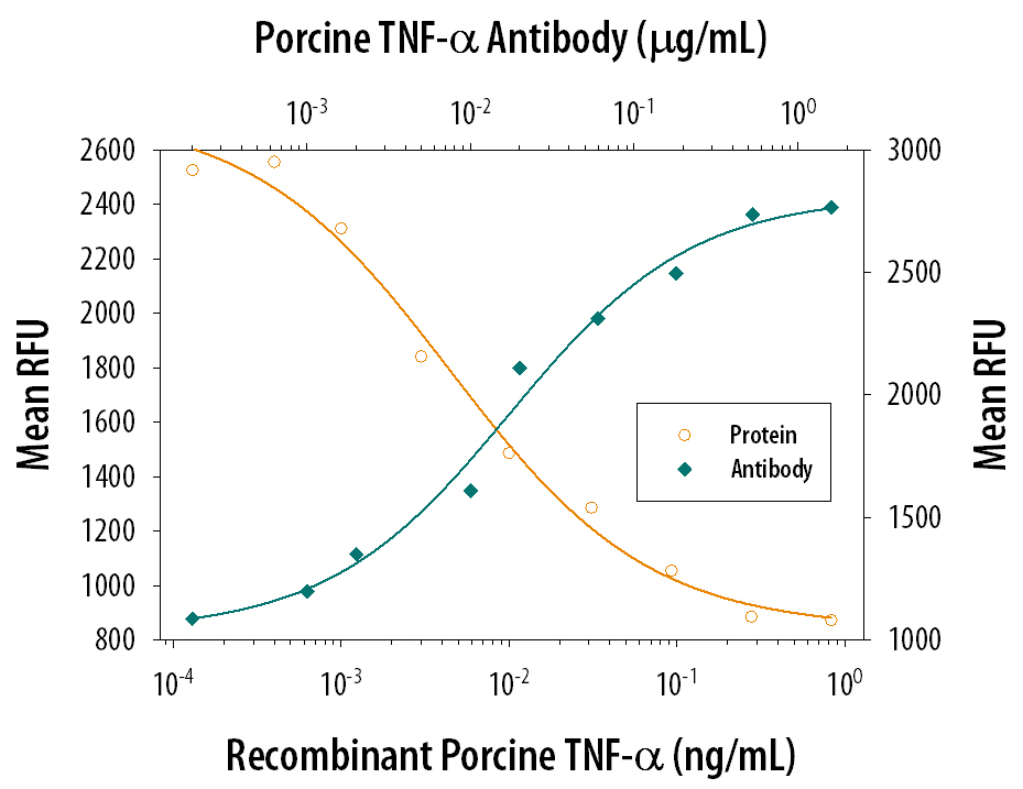 Recombinant Porcine TNF-a (Catalog # 690-PT) induces cytotoxicity in the the PK-15 porcine kidney epithelial cell line in a dose-dependent manner (orange line). Cytotoxicity elicited by Recombinant Porcine TNF-a (0.05 ng/mL) is neutralized (green line) by increasing concentrations of Mouse Anti-Porcine TNF-a Monoclonal Antibody (Catalog # MAB6903). The ND50 is typically 0.005-0.02 µg/mL in the presence of the metabolic inhibitor actinomycin D (1 µg/mL).