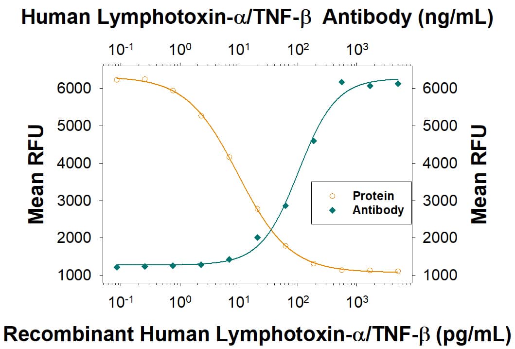 Recombinant Human Lymphotoxin-a/TNF-beta  (Catalog # 211-TB) induces cytotoxicity in the the L-929 mouse fibroblast cell line in a dose-dependent manner (orange line), as measured by crystal violet staining. Cytotoxicity elicited by Recombinant Human Lymphotoxin-a/TNF-beta  (0.25 ng/mL) is neutralized (green line) by increasing concentrations of Goat Anti-Human Lymphotoxin-a/TNF-beta  Antigen Affinity-purified Polyclonal Antibody (Catalog # AF-211-NA). The ND50 is typically <200 µg/mL in the presence of the metabolic inhibitor actinomycin D (1 µg/mL).