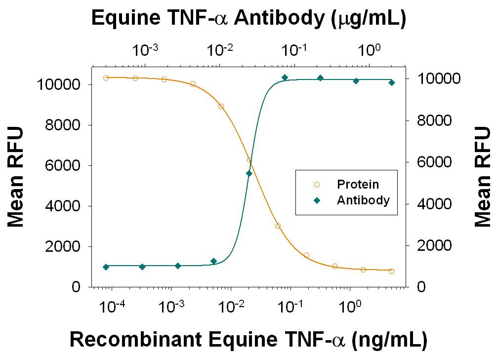 Recombinant Equine TNF-a (Catalog # 1814-ET) induces cytotoxicity in the the L-929 mouse fibroblast cell line in a dose-dependent manner (orange line), as measured by Resazurin (Catalog # AR002). Cytotoxicity elicited by Recombinant Equine TNF-a (1 ng/mL) is neutralized (green line) by increasing concentrations of Goat Anti-Equine TNF-a Antigen Affinity-purified Polyclonal Antibody (Catalog # AF1814). The ND50 is typically 0.01-0.03 µg/mL in the presence of the metabolic inhibitor actinomycin D (1 µg/mL).