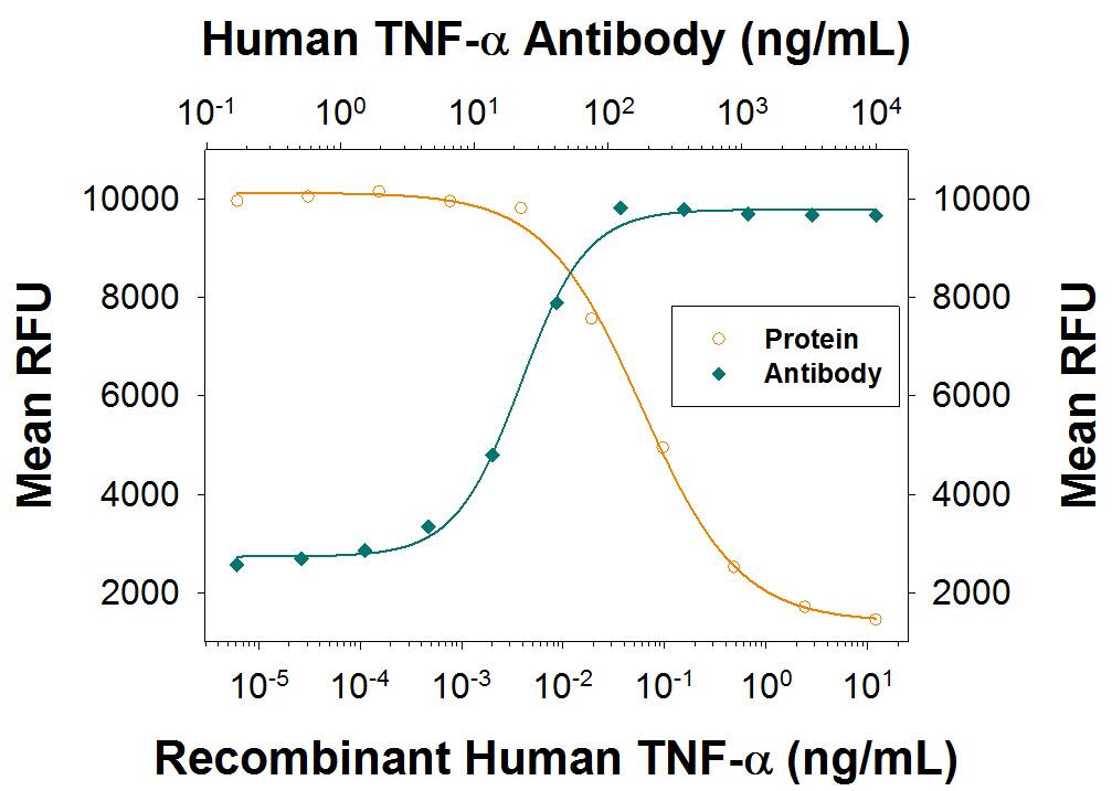 Recombinant Human TNF-a (Catalog # 210-TA) induces cytotoxicity in the L-929 mouse fibroblast cell line in a dose-dependent manner (orange line). Cytotoxicity elicited by Recombinant Human TNF-a (0.75 ng/mL) is neutralized (green line) by increasing concentrations of Recombinant Human TNF-a Monoclonal Antibody (Catalog # MAB2101R). The ND50 is typically 0.01-0.06 µg/mL in the presence of the metabolic inhibitor actinomycin D (0.5 µg/mL).