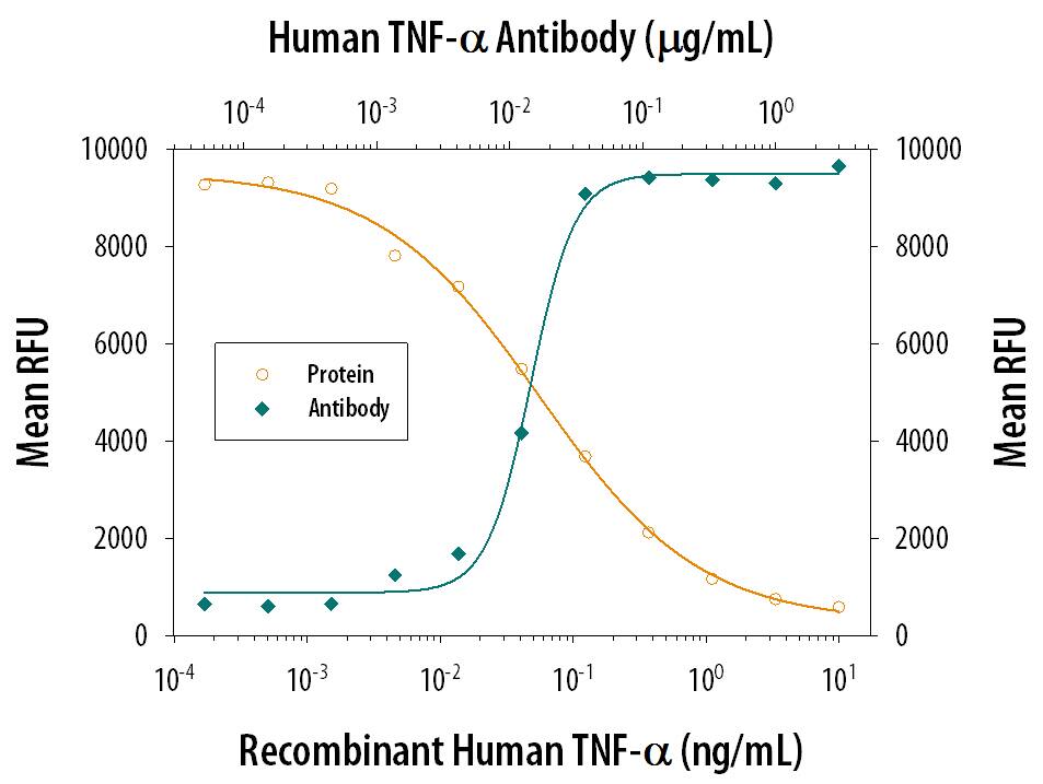 Recombinant Human TNF-a (Catalog # 210-TA) induces cytotoxicity in the the L-929 mouse fibroblast cell line in a dose-dependent manner (orange line). Cytotoxicity elicited by Recombinant Human TNF-a (0.75 ng/mL) is neutralized (green line) by increasing concentrations of Mouse Anti-Human TNF-a Monoclonal Antibody (Catalog # MAB210). The ND50 is typically 0.01-0.06 µg/mL in the presence of the metabolic inhibitor actinomycin D (1 µg/mL).