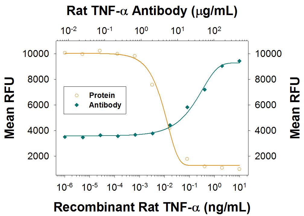Recombinant Rat TNF-a (Catalog # 510-RT) induces cytotoxicity in the the L-929 mouse fibroblast cell line in a dose-dependent manner (orange line), as measured by Resazurin (Catalog # AR002) . Cytotoxicity elicited by Recombinant Rat TNF-a (0.025 ng/mL) is neutralized (green line) by increasing concentrations of Rat TNF-a Recombinant Monoclonal Antibody (Catalog # MAB510R). The ND50 is typically 10-40 µg/mL in the presence of the metabolic inhibitor Actinomycin D (0.5 µg/mL, Catalog # 1229).