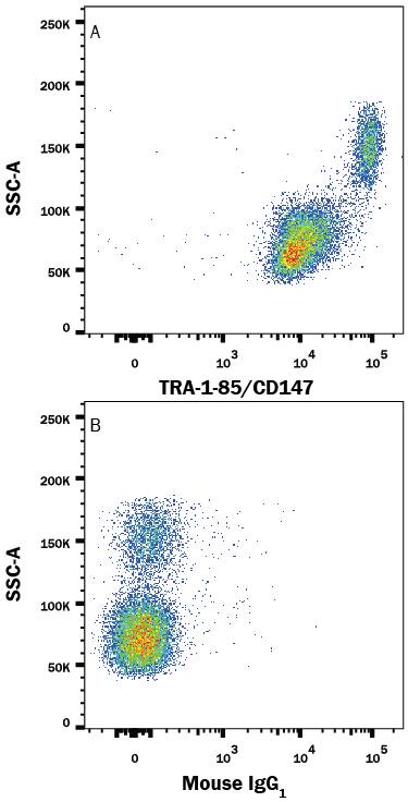 Human peripheral blood lymphocytes and monocytes were stained with either (A) Mouse Anti-Human TRA-1-85/CD147 Monoclonal Antibody (Catalog # MAB3195) or (B) Mouse IgG1Isotype Control (Catalog # MAB002) followed by Allophycocyanin-conjugated Anti-Mouse IgG Secondary Antibody (Catalog # F0101B).