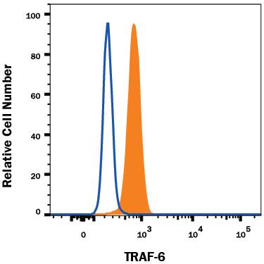 Jurkat human acute T cell leukemia cell line was stained with Mouse Anti-Human TRAF-6 Alexa Fluor® 488-conjugated Monoclonal Antibody (Catalog # IC3284G, filled histogram) or isotype control antibody (IC003G, open histogram). To facilitate intracellular staining, cells were fixed with Flow Cytometry Fixation Buffer (FC004) and permeabilized with Flow Cytometry Permeabilization/Wash Buffer I (FC005). View our protocol for Staining Intracellular Molecules.