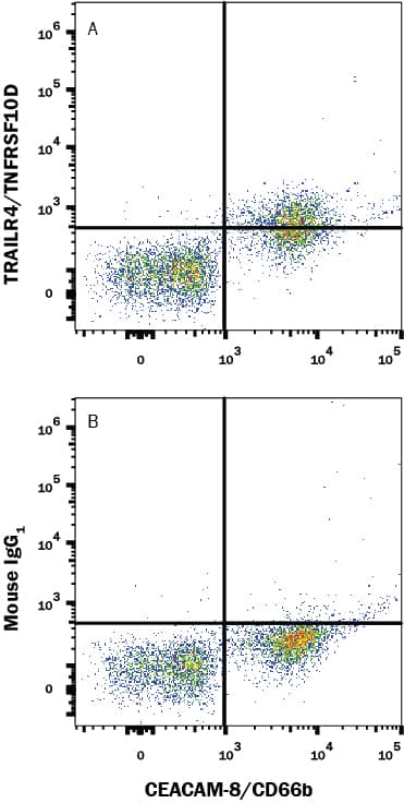 Human peripheral blood cells were stained with (A) Mouse Anti-Human TRAILR4 Monoclonal Antibody (Catalog # MAB663R) or (B) Mouse IgG1 isotype control antibody (Catalog # MAB002) followed by PE-conjugated Anti-Mouse IgG Secondary Antibody (Catalog # F0102B) and Mouse anti-Human CEACAM-8/CD66b APC-conjugated Monoclonal Antibody (Catalog # FAB4246A). View our protocol for Staining Membrane-associated Proteins.