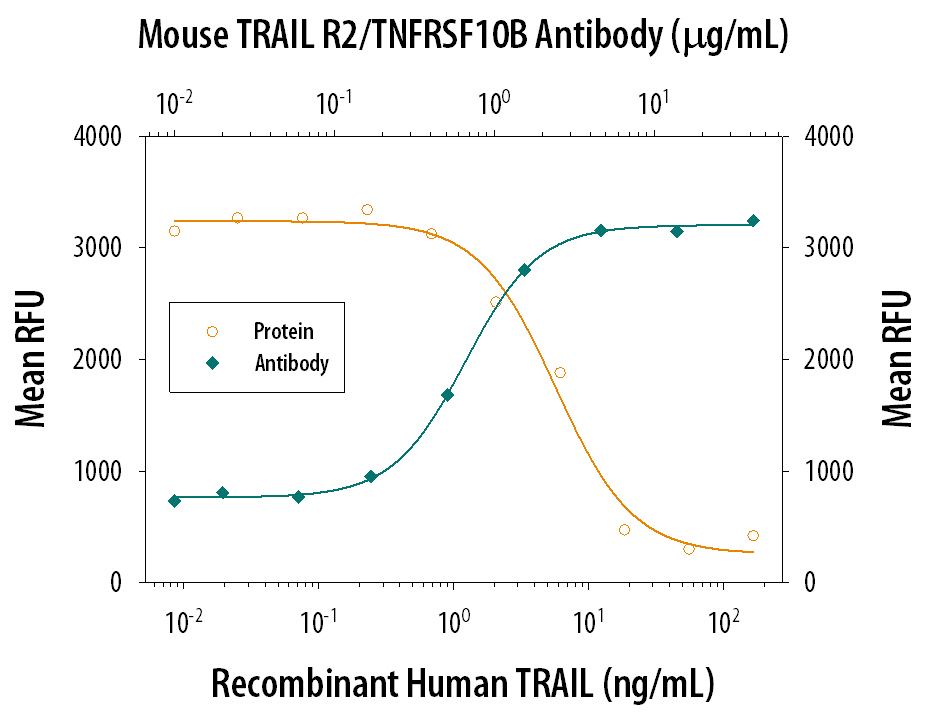 In the presence of a cross-linking antibody, Mouse polyHistidine Monoclonal Antibody (Catalog # MAB050) and the metabolic inhibitor actinomycin D (1 µg/mL), Recombinant Human TRAIL/TNFSF10 (Catalog # 375-TL) induces cytotoxicity in the L-929 mouse fibroblast cell line in a dose-dependent manner (orange line). Under these conditions, cytotoxicity elicited by Recombinant Human TRAIL/TNFSF10 (12 ng/mL) is neutralized (green line) by increasing concentrations of Goat Anti-Mouse TRAIL R2/TNFRSF10B Antigen Affinity-purified Polyclonal Antibody (Catalog # AF721). The ND50 is typically 0.4-1.2 µg/mL.