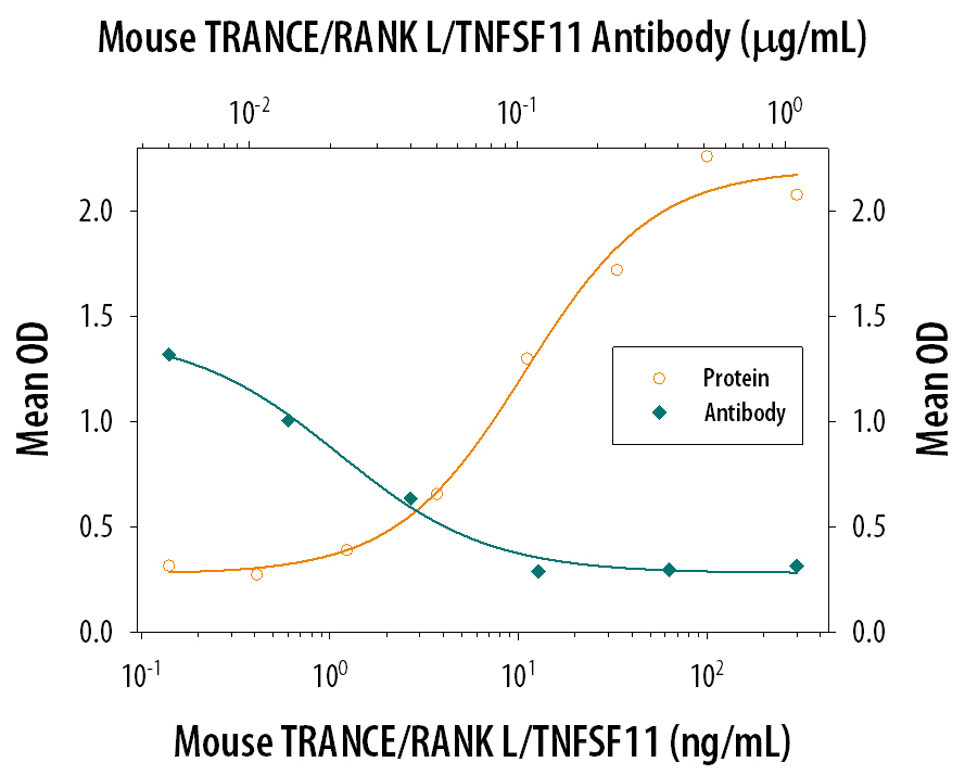 In the presence of Recombinant Mouse M-CSF (20 ng/mL, <a class=