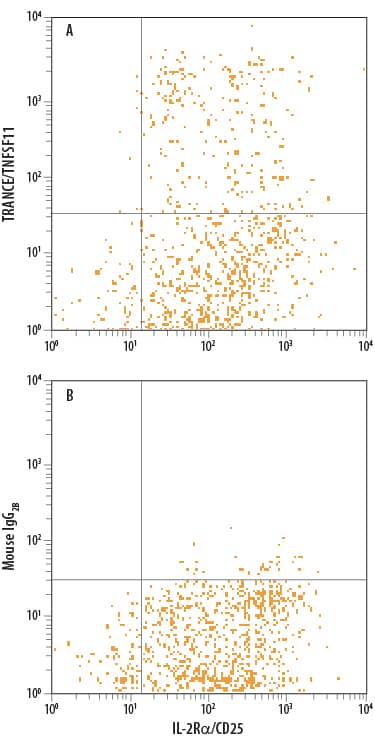 Human peripheral blood mononuclear cells (PBMCs) treated with PHA for were stained with Mouse Anti-Human IL-2 Ra PE-conjugated Monoclonal Antibody (Catalog # FAB1020P) and either (A) Mouse Anti-Human TRANCE/TNFSF11/RANK L APC-conjugated Monoclonal Antibody (Catalog # FAB6264A) or (B) Mouse IgG2BAllophycocyanin Isotype Control (Catalog # IC0041A). View our protocol for Staining Membrane-associated Proteins.
