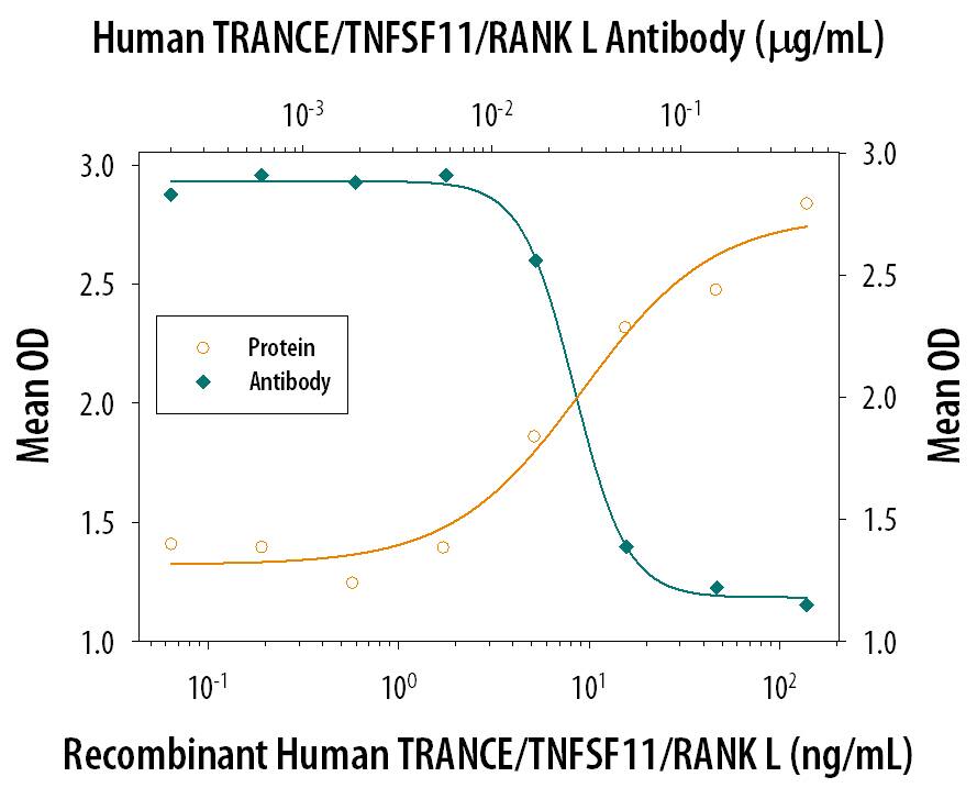 In the presence of Recombinant Mouse M-CSF (20 ng/mL, Catalog # 416-ML), Recombinant Human TRANCE/TNFSF11/RANK L (Catalog # 390-TN) induces osteoclast-like cell formation in the RAW 264.7 mouse monocyte/macrophage cell line in a dose-dependent manner (orange line), as measured by TRAP (tartrate-resistant acid phosphatase) activity in cell lysates . Under these conditions, osteoclast-like cell formation elicited by Recombinant Human TRANCE/TNFSF11/RANK L (30 ng/mL) is neutralized (green line) by increasing concentrations of Mouse Anti-Human TRANCE/ TNFSF11/RANK L Monoclonal Antibody (Catalog # MAB6262). The ND50 is typically 0.01-0.04 µg/mL.