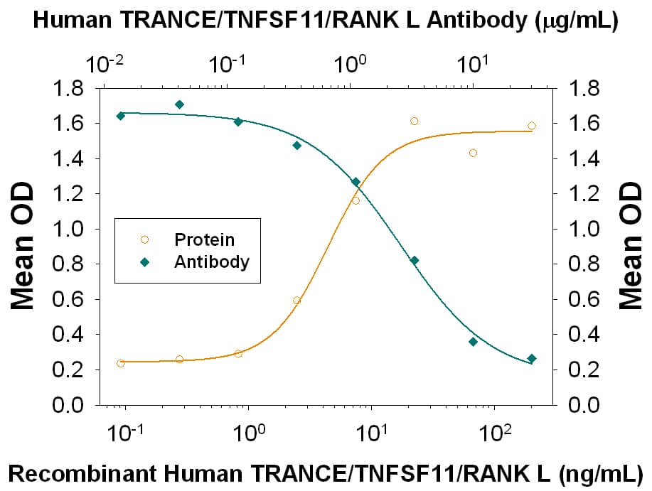 In the presence of Recombinant Mouse M-CSF (20 ng/mL, Catalog # 416-ML), Recombinant Human TRANCE/TNFSF11/RANK L (Catalog # 390-TN) induces osteoclast-like cell formation in RAW 264.7 mouse macrophages in a dose-dependent manner (orange line), as measured by TRAP (tartrate-resistant acid phosphatase) activity in cell lysates. Under these conditions, osteoclast-like cell formation elicited by Recombinant Human TRANCE/ TNFSF11/RANK L (30 ng/mL) is neutralized (green line) by increasing concentrations of Mouse Anti-Human TRANCE/TNFSF11/RANK L Monoclonal Antibody (Catalog # MAB626). The ND50 is typically 0.8-2.5 µg/mL.