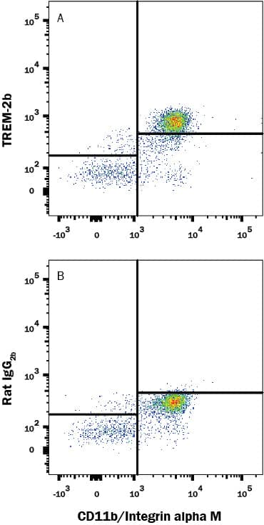 Human peripheral blood mononuclear cells (PBMCs) were stained with Mouse Anti-Human Integrin alpha M/CD11b APC-conjugated Monoclonal Antibody (FAB16991A) and either (A) Rat Anti-Human/Mouse TREM-2 Alexa Fluor® 488-conjugated Monoclonal Antibody (Catalog # FAB17291G) or (B) Rat IgG2B Alexa Fluor 488 Isotype Control (IC013G). View our protocol for Staining Membrane-associated Proteins.