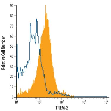 RAW 264.7 mouse monocyte/macrophage cell line was stained with Rat Anti-Human/Mouse TREM-2 Alexa Fluor® 700-conjugated Monoclonal Antibody (Catalog # FAB17291N, filled histogram) or isotype control antibody (Catalog # IC013N, open histogram). View our protocol for Staining Membrane-associated Proteins.