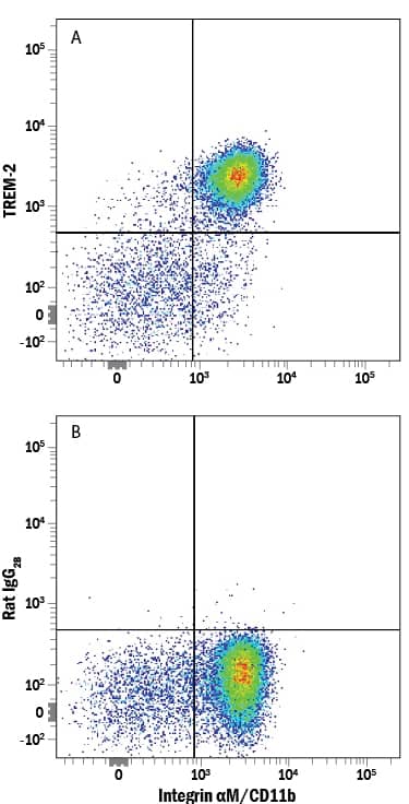 Human peripheral blood mononuclear cells (PBMCs) were stained with Mouse Anti-Human Integrin aM/CD11b APC-conjugated Monoclonal Antibody (Catalog # FAB16991A) and either (A) Rat Anti-Human/Mouse TREM-2 Alexa Fluor® 594-conjugated Monoclonal Antibody (Catalog # FAB17291T) or (B) Rat IgG2BAlexa Fluor 594 Isotype Control (Catalog # IC013T). View our protocol for Staining Membrane-associated Proteins.