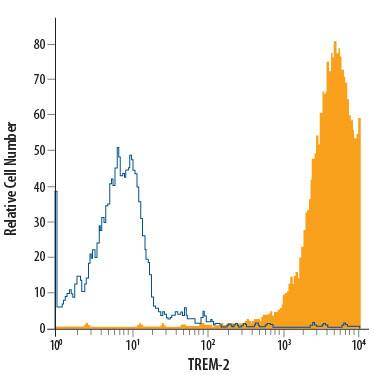 THP-1 human acute monocytic leukemia cell line was stained with Rat Anti-Human/Mouse TREM2 Monoclonal Antibody (Catalog # MAB17291, filled histogram) or isotype control antibody (MAB0061, open histogram), followed by Allophycocyanin-conjugated Anti-Rat IgG Secondary Antibody (F0113).