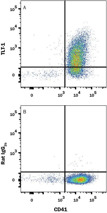 Human peripheral blood platelets were stained with (A) Rat Anti-Human TREML1/TLT-1 Alexa Fluor® 647-conjugated Monoclonal Antibody (Catalog # FAB2394R) or (B) Rat IgG2B Isotype Control (Catalog # IC013R) and Mouse Anti-Human Integrin alpha 2b/CD41 PE-conjugated Monoclonal Antibody (Catalog # FAB7616P). View our protocol for Staining Membrane-associated Proteins.