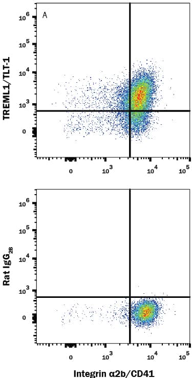 Human peripheral blood platelets were stained with Mouse Anti-Human Integrin a2b/CD41 PE-conjugated Monoclonal Antibody (Catalog # FAB7616P) and either (A) Rat Anti-Human TREML1/TLT-1 Monoclonal Antibody (Catalog # MAB2394) or (B) Rat IgG2BIsotype Control (Catalog # MAB0061) followed by Allophycocyanin-conjugated Anti-Rat IgG Secondary Antibody (Catalog # F0113). View our protocol for Staining Membrane-associated Proteins.