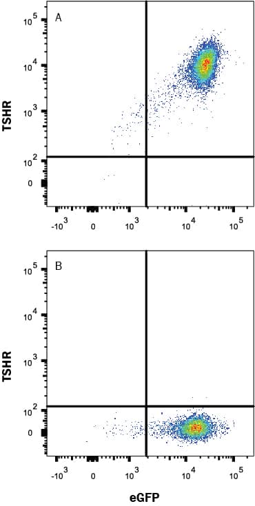 Flow Cytometry TSHR Antibody (484404) [Unconjugated]