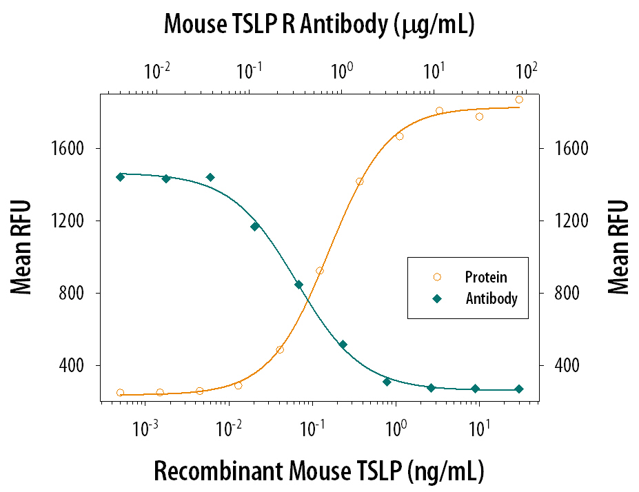 Recombinant Mouse TSLP (Catalog # 555-TS) stimulates proliferation in the BaF3 mouse pro-B cell line transfected with mouse IL-7 Ra/CD127 in a dose-dependent manner (orange line). Proliferation elicited by Recombinant Mouse TSLP (7.5 ng/mL) is neutralized (green line) by increasing concentrations of Goat Anti-Mouse TSLP R Antigen Affinity-purified Polyclonal Antibody (Catalog # AF546). The ND50 is typically 0.2-0.6 µg/mL.