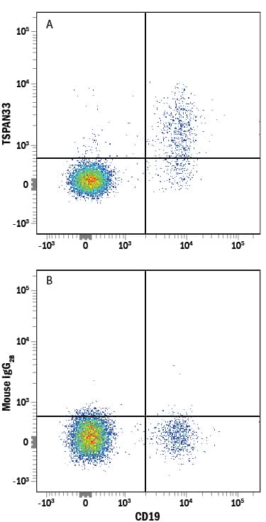 Human peripheral blood mononuclear cells (PBMCs) treated with overnight with Recombinant Human IL-4 (Catalog # 204-IL) and Recombinant Human CD40 Ligand/TNFSF5 (Catalog # 6245-CL) for were stained with Mouse Anti-Human CD19 APC-conjugated Monoclonal Antibody (Catalog # FAB4867A) and either (A) Mouse Anti-Human TSPAN33 PE-conjugated Monoclonal Antibody (Catalog # FAB8405P) or (B) Mouse IgG2BPhycoerythrin Isotype Control (Catalog # IC0041P). View our protocol for Staining Membrane-associated Proteins.