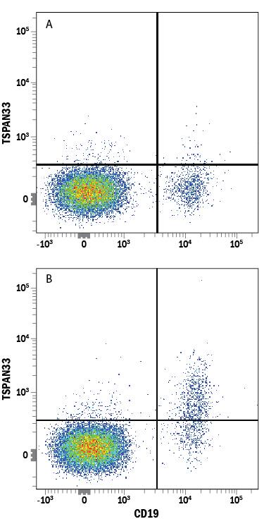 Human peripheral blood mononuclear cells (PBMCs) either (A) untreated or (B) treated overnight with Recombinant Human IL-4 (Catalog # 204-IL) and Recombinant Human CD40 Ligand/TNFSF5 (Catalog # 6245-CL) were stained with Mouse Anti-Human TSPAN33 Monoclonal Antibody (Catalog # MAB8405) followed by Allophycocyanin-conjugated Anti-Mouse IgG Secondary Antibody (Catalog # F0101B) and Mouse Anti-Human CD19 PE-conjugated Monoclonal Antibody (Catalog # FAB4867P). Quadrant markers were set based on control antibody staining (Catalog # MAB0041).