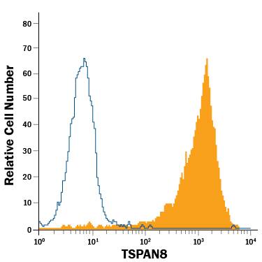 HT-29 human colon adenocarcinoma cell line was stained with Rat Anti-Human TSPAN8 PE-conjugated Monoclonal Antibody (Catalog # FAB4734P, filled histogram) or isotype control antibody (Catalog # IC013P, open histogram). View our protocol for Staining Membrane-associated Proteins.