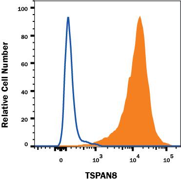 HT-29 human colon adenocarcinoma cell line was stained with Rat Anti-Human TSPAN8 Alexa Fluor® 647-conjugated Monoclonal Antibody (Catalog # FAB4734R, filled histogram) or isotype control antibody (Catalog # IC013R, open histogram). View our protocol for Staining Membrane-associated Proteins.