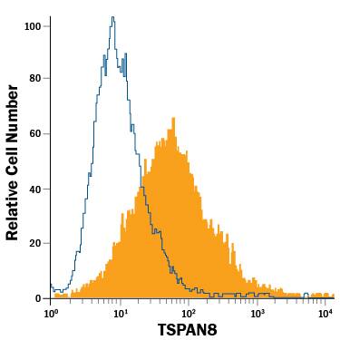 CMT-93 mouse rectal carcinoma cell line was stained with Rat Anti-Mouse TSPAN8 PE-conjugated Monoclonal Antibody (Catalog # FAB6524P, filled histogram) or isotype control antibody (Catalog # IC013P, open histogram). View our protocol for Staining Membrane-associated Proteins.