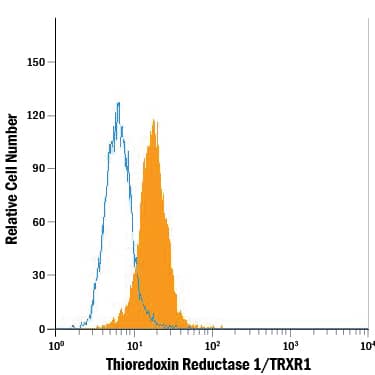 HeLa human cervical epithelial carcinoma cell line was stained with Mouse Anti-Human/Mouse/Rat Thioredoxin Reductase 1/TRXR1 Alexa Fluor® 488-conjugated Monoclonal Antibody (Catalog # IC7428G, filled histogram) or isotype control antibody (Catalog # IC002G, open histogram). To facilitate intracellular staining, cells were fixed with Flow Cytometry Fixation Buffer (Catalog # FC004) and permeabilized with Flow Cytometry Permeabilization/Wash Buffer I (Catalog # FC005). View our protocol for Staining Intracellular Molecules.