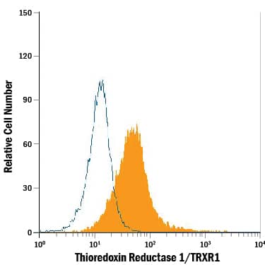 Intracellular Staining by Flow Cytometry Thioredoxin Reductase 1/TRXR1 Antibody (489804)