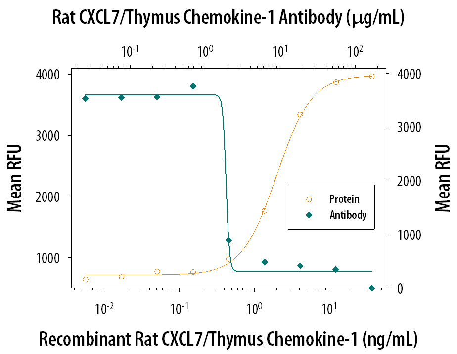 Recombinant Rat CXCL7/Thymus Chemokine-1 (Catalog # 1116-CK) chemo-attracts the BaF3 mouse pro-B cell line transfected with human CXCR2 in a dose-dependent manner (orange line). The amount of cells that migrated through to the lower chemotaxis chamber was measured by Resazurin (Catalog # AR002). Chemotaxis elicited by Recombinant Rat CXCL7/Thymus Chemokine-1 (0.04 µg/mL) is neutralized (green line) by increasing concentrations of Goat Anti-Rat CXCL7/Thymus Chemokine-1 Antigen Affinity-purified Polyclonal Antibody (Catalog # AF1116). The ND50 is typically 0.8-4.0 µg/mL.