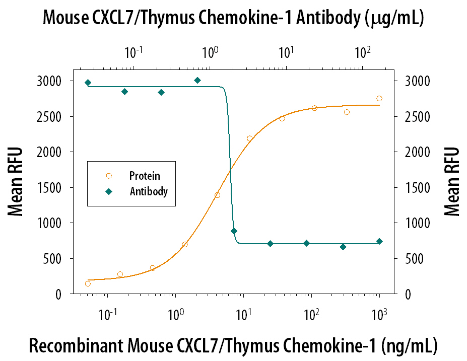 Recombinant Mouse CXCL7/Thymus Chemo-kine-1 (Catalog # 1091-CK) chemoattracts the BaF3 mouse pro-B cell line transfected with human CXCR2 in a dose-dependent manner (orange line). The amount of cells that migrated through to the lower chemotaxis chamber was measured by Resazurin (Catalog # AR002). Chemotaxis elicited by Recombinant Mouse CXCL7/Thymus Chemo-kine-1 (40 ng/mL) is neutralized (green line) by increasing concentrations of Goat Anti-Mouse CXCL7/Thymus Chemo-kine-1 Antigen Affinity-purified Polyclonal Antibody (Catalog # AF793). The ND50 is typically 0.8-4 µg/mL.