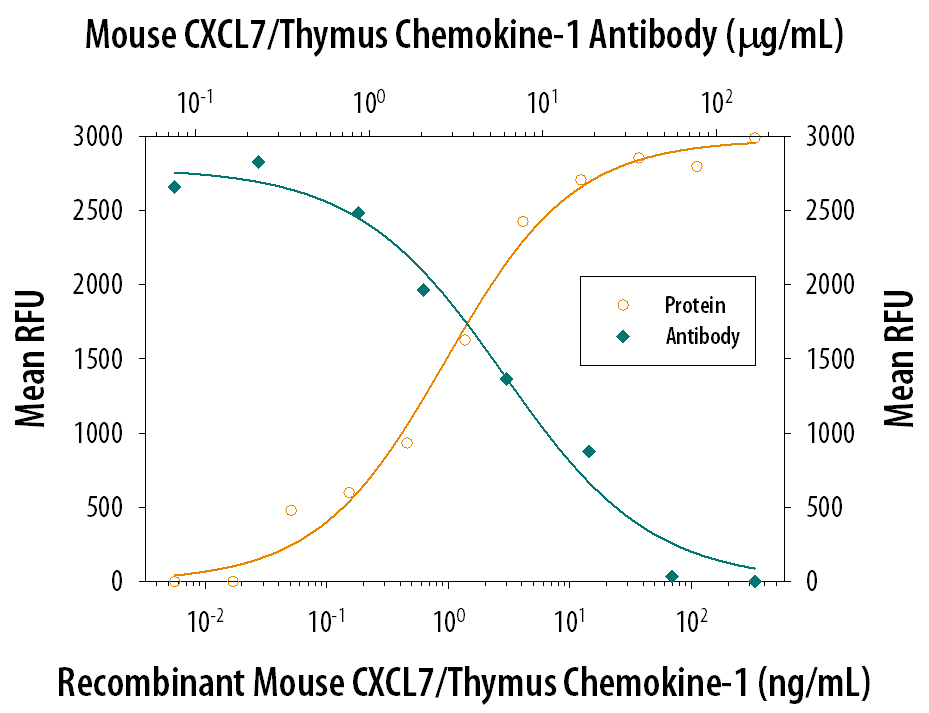 Recombinant Mouse CXCL7/Thymus Chemokine‑1 aa 48‑109 (Catalog # 1091-CK) chemoattracts the BaF3 mouse pro‑B cell line transfected with human CXCR2 in a dose-dependent manner (orange line). The amount of cells that migrated through to the lower chemotaxis chamber was measured by Resazurin (Catalog # AR002). Chemotaxis elicited by Recombinant Mouse CXCL7/Thymus Chemokine‑1 aa 48‑109 (40 ng/mL) is neutralized (green line) by increasing concentrations of Rat Anti-Mouse CXCL7/Thymus Chemokine‑1 Monoclonal Antibody (Catalog # MAB1091). The ND50 is typically 2-8 µg/mL.